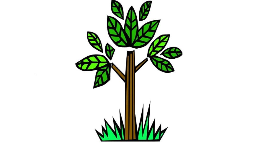 Il Centro Sociale “Albero Magico” compie 10 anni.