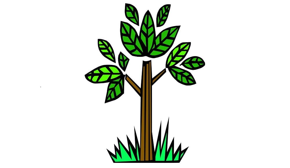 Centro Sociale Albero Magico
