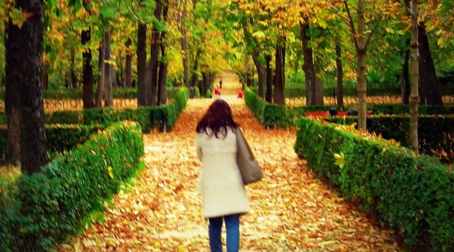 Bisogna stare in allerta anche quando si passeggia