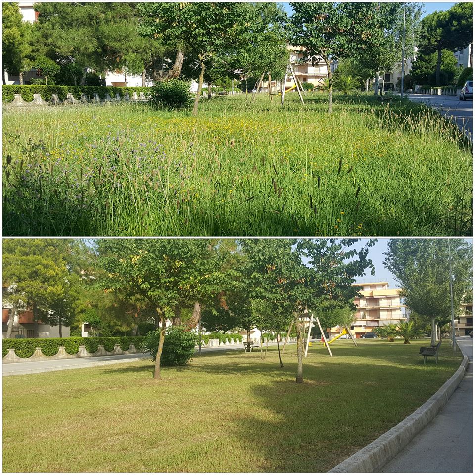 Fratelli d'Italia Porto Recanati