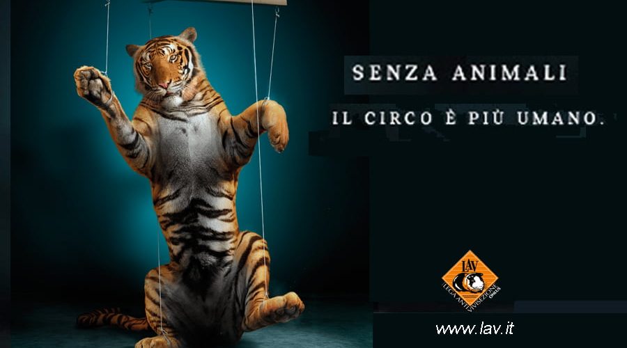 Non passa in Consiglio Comunale la proposta di Città Mia di vietare i Circhi con gli animali