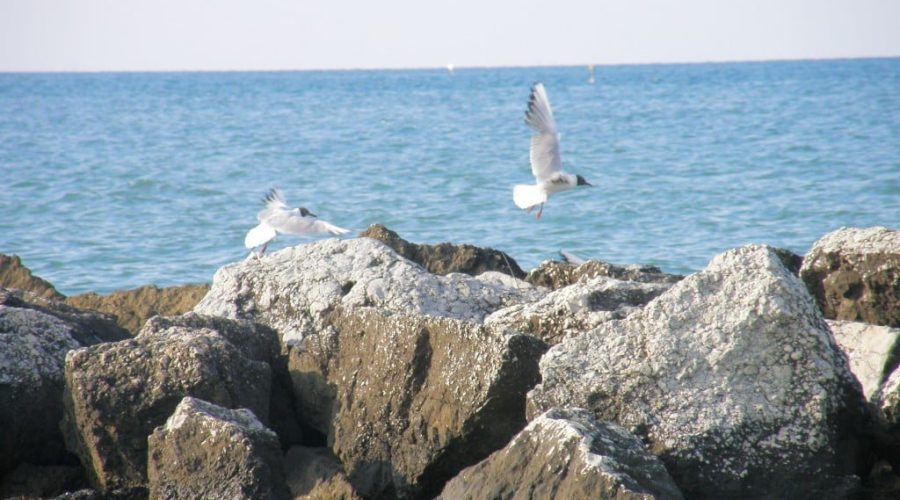 Difesa della costa, assegnati a Porto Recanati 98.137,08 Euro