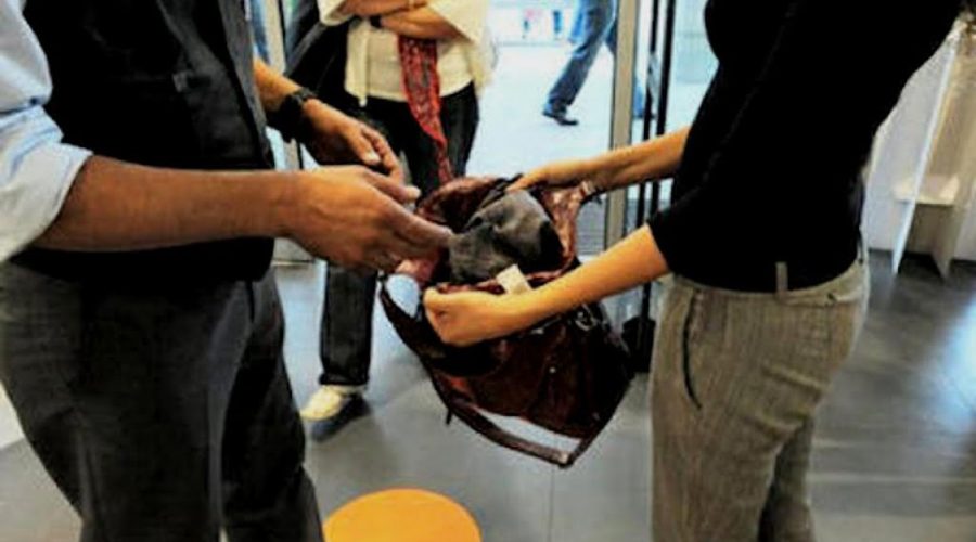 Banda di ragazzini rubano al supermercato Zippilli