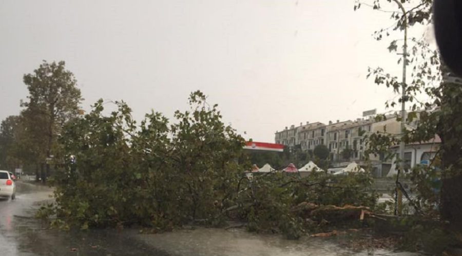 Nubifragio a Porto Recanati un disastro, albero caduto, garage, sottopassi e strade allagate