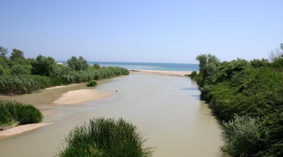 Gli operatori balneari lanciano un appello al comune perché monitorizzi i fiumi