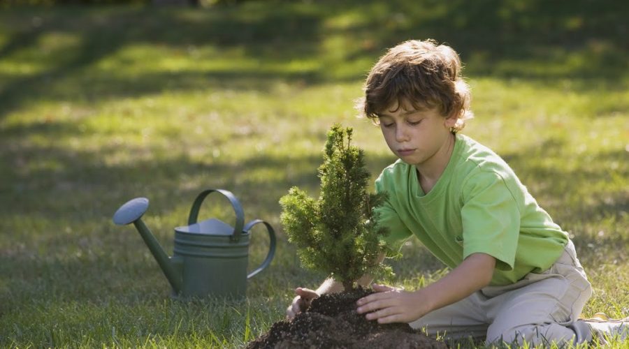 Progetto ”Ambientiamoci” dell’istituto comprensivo Enrico Medi per piantare nuovi alberi alla pineta Volpini