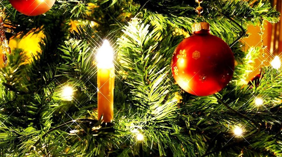 Programma Natalizio, torna l’albero e ci saranno 7 barche addobbate a festa