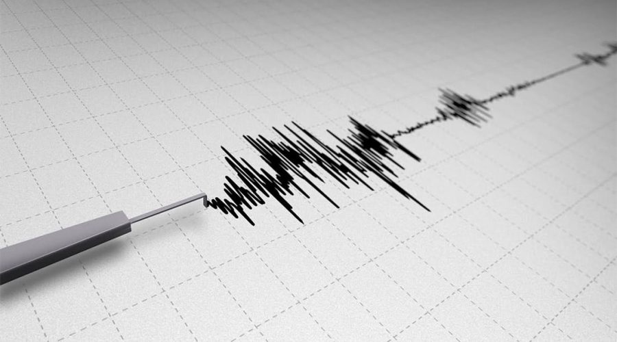 Verifiche tecniche nelle scuole a seguito degli eventi sismici di questa mattina, nessuna ha registrato alcun problema