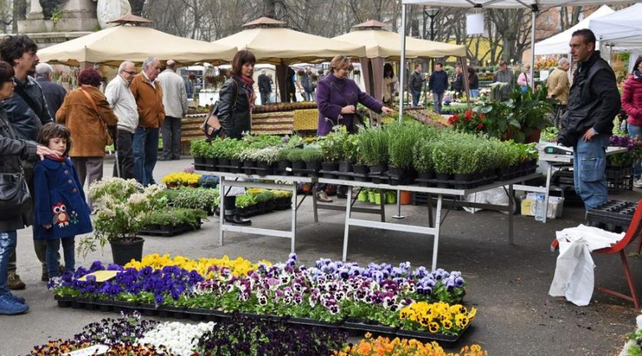 Porto Recanati in Fiore – Mostra Mercato