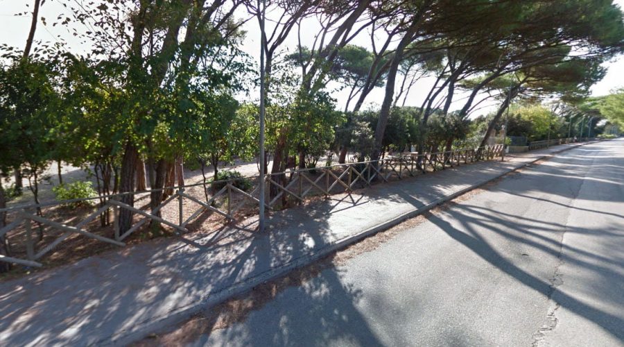 Bando per l’assegnazione di un’area in zona Pineta per servizi vari di interesse pubblico