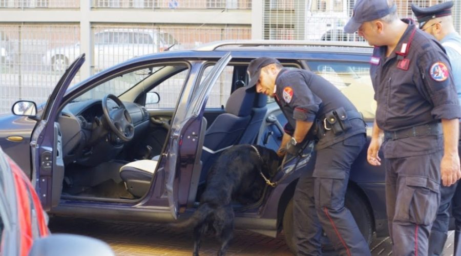 Lotta allo spaccio, Finanza e Carabinieri al River, Pineta e House, centinaia gli identificati