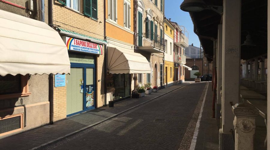 Ladri in azione nella notte al negozio “I Fiori di Ale”