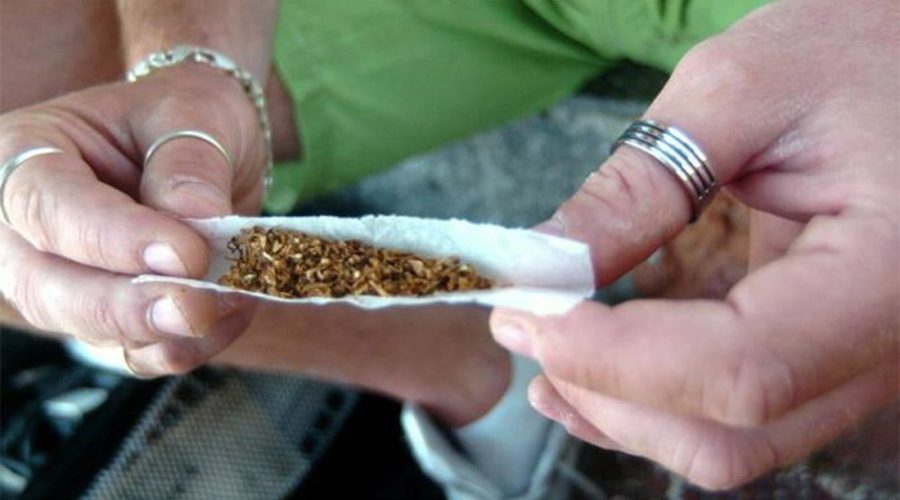 Due Portorecanatesi trovati in possesso di Marijuana