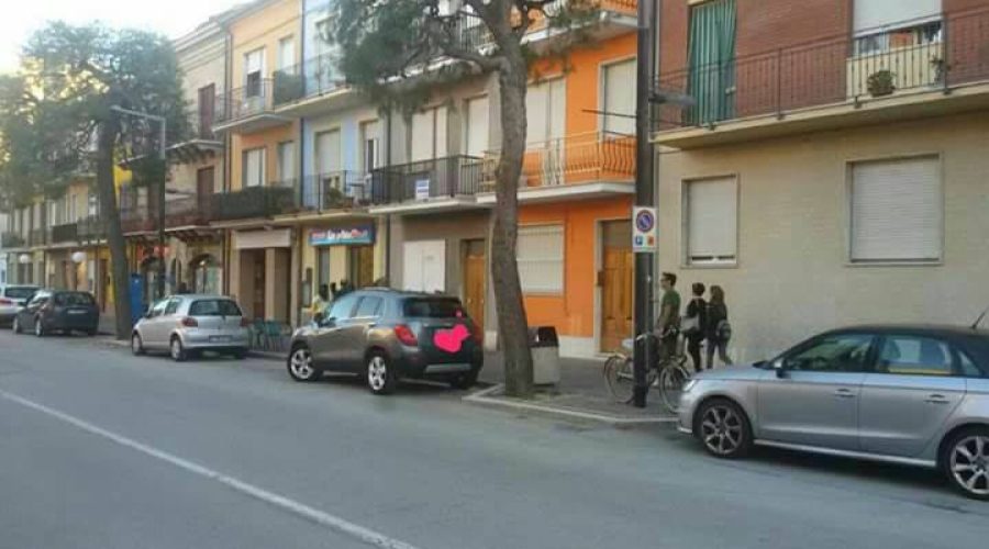 Il pesce puzza sempre dalla testa!