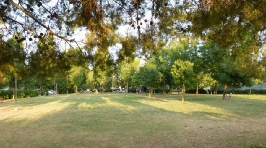 Al Parco dell’Amicizia sono stufi dei vandali