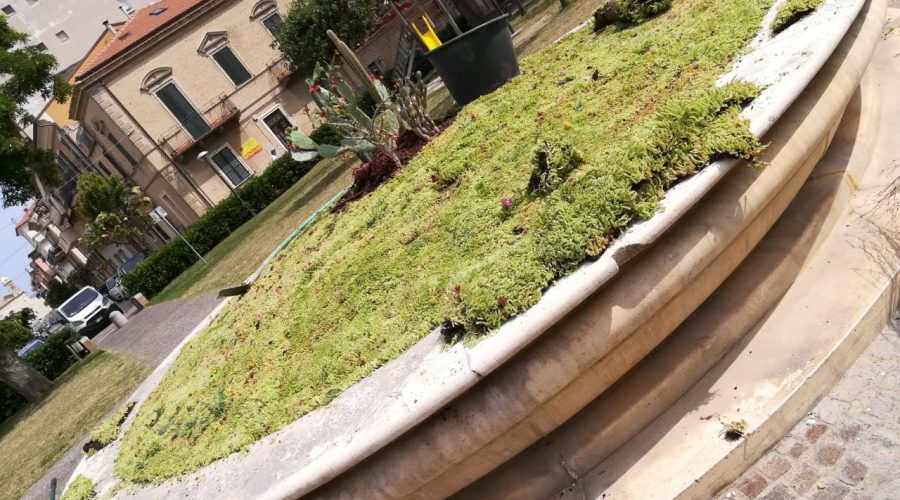 Trasformazione in fioriera per la fontana di Piazza Carradori