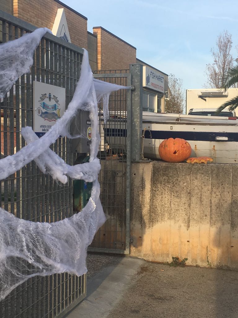 Halloween Portorecanati
