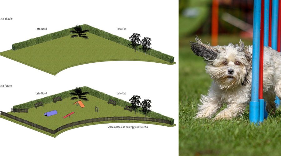 Proposta del Quartiere Europa per un’Area Cani